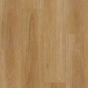 Classic Blackbutt