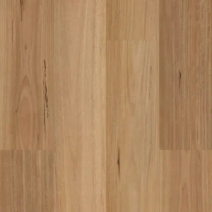 Native Blackbutt