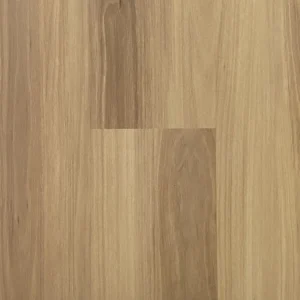 Blackbutt