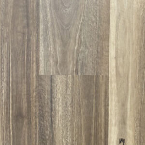 Spotted Gum