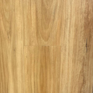 Blackbutt - SL