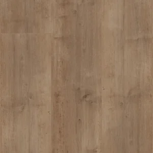 Coastal Ivory