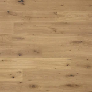 Arlo-Truffle