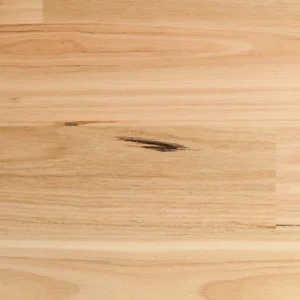 Blackbutt Smooth