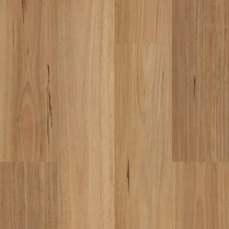 Native Blackbutt